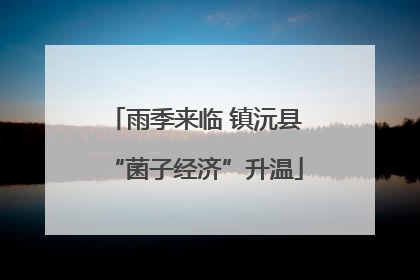 雨季来临 镇沅县“菌子经济”升温