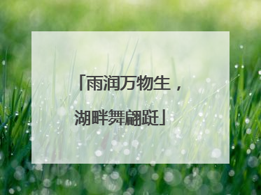 雨润万物生，湖畔舞翩跹