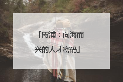 霞浦：向海而兴的人才密码