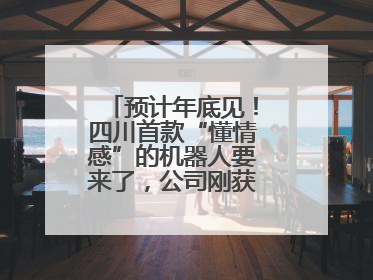 预计年底见！四川首款“懂情感”的机器人要来了，公司刚获数千万元融资