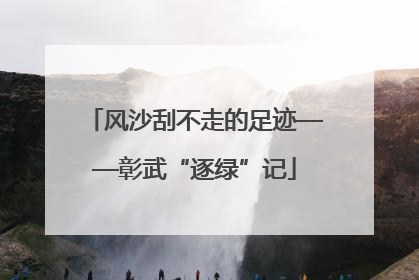 风沙刮不走的足迹——彰武“逐绿”记