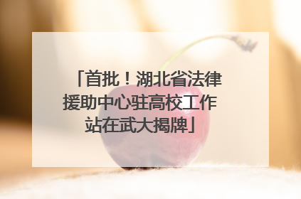 首批！湖北省法律援助中心驻高校工作站在武大揭牌