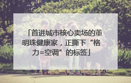 首进城市核心卖场的董明珠健康家，正撕下“格力=空调”的标签