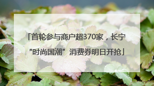 首轮参与商户超370家，长宁“时尚国潮”消费券明日开抢