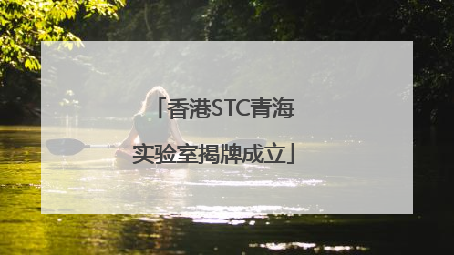 香港STC青海实验室揭牌成立
