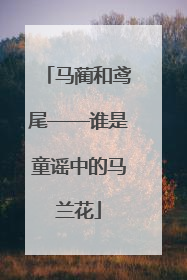 马蔺和鸢尾——谁是童谣中的马兰花