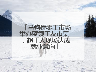 马驹桥零工市场举办蓝领工友市集，超千人现场达成就业意向