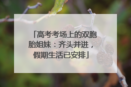 高考考场上的双胞胎姐妹：齐头并进，假期生活已安排
