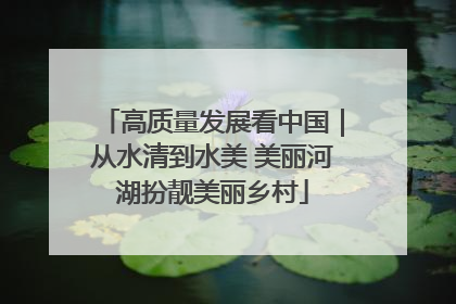 高质量发展看中国｜从水清到水美 美丽河湖扮靓美丽乡村