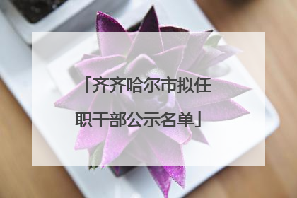 齐齐哈尔市拟任职干部公示名单