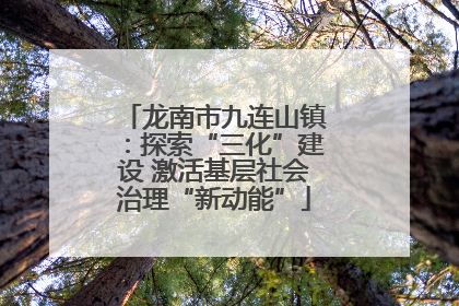 龙南市九连山镇：探索“三化”建设 激活基层社会治理“新动能”