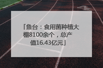 鱼台：食用菌种植大棚8100余个，总产值16.43亿元