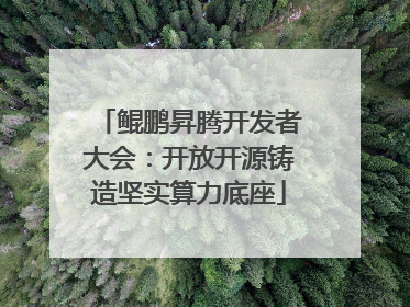 鲲鹏昇腾开发者大会：开放开源铸造坚实算力底座