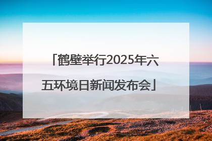 鹤壁举行2025年六五环境日新闻发布会