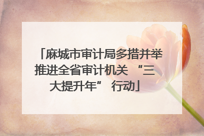 麻城市审计局多措并举推进全省审计机关 “三大提升年” 行动