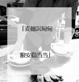 麦穗沉甸甸 粮安稳当当