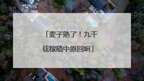 麦子熟了！九千载稼穑中原回响