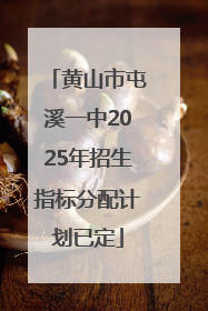 黄山市屯溪一中2025年招生指标分配计划已定