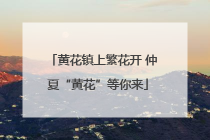 黄花镇上繁花开 仲夏“黄花”等你来