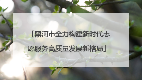 黑河市全力构建新时代志愿服务高质量发展新格局