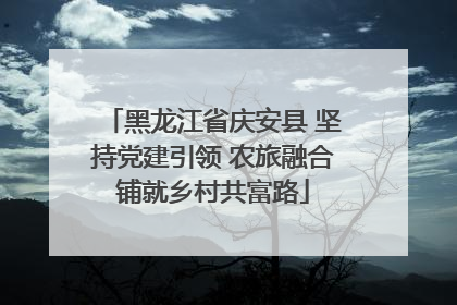 黑龙江省庆安县 坚持党建引领 农旅融合铺就乡村共富路