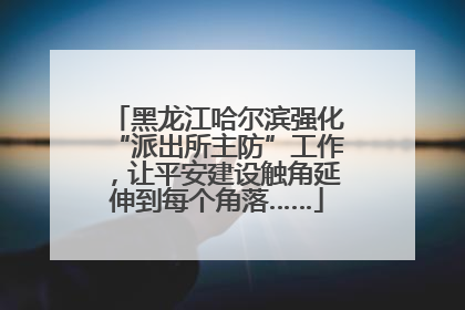 黑龙江哈尔滨强化“派出所主防”工作，让平安建设触角延伸到每个角落……