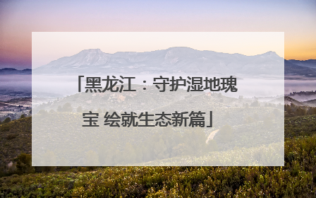 黑龙江：守护湿地瑰宝 绘就生态新篇
