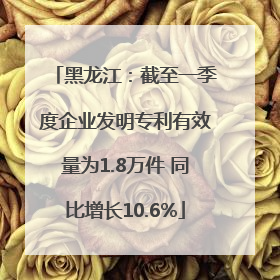 黑龙江：截至一季度企业发明专利有效量为1.8万件 同比增长10.6%
