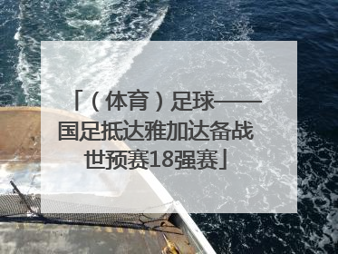 （体育）足球——国足抵达雅加达备战世预赛18强赛