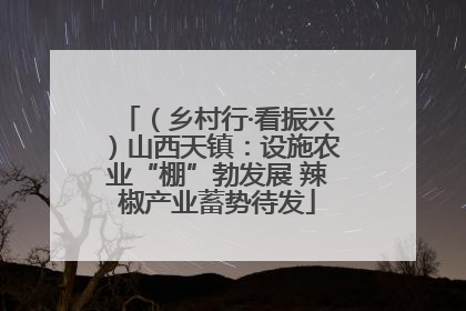 （乡村行·看振兴）山西天镇：设施农业“棚”勃发展 辣椒产业蓄势待发