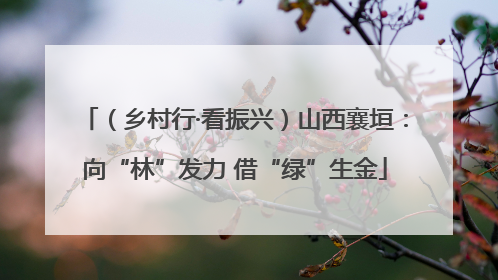 （乡村行·看振兴）山西襄垣：向“林”发力 借“绿”生金
