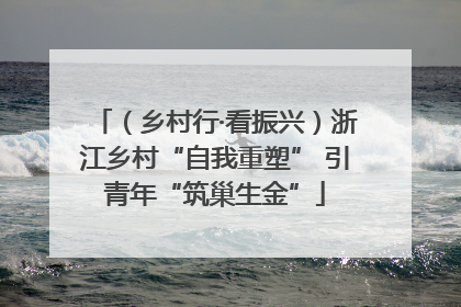（乡村行·看振兴）浙江乡村“自我重塑” 引青年“筑巢生金”