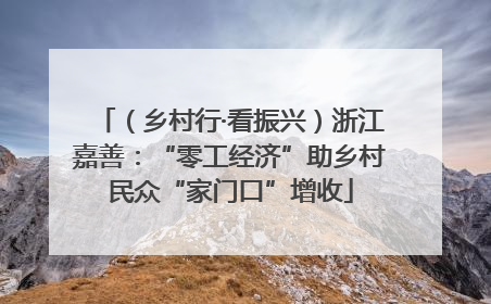 （乡村行·看振兴）浙江嘉善：“零工经济”助乡村民众“家门口”增收