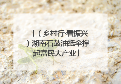（乡村行·看振兴）湖南石鼓油纸伞撑起富民大产业