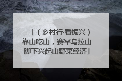 （乡村行·看振兴）靠山吃山，赛罕乌拉山脚下兴起山野菜经济
