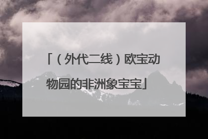 （外代二线）欧宝动物园的非洲象宝宝