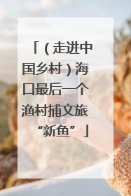 （走进中国乡村）海口最后一个渔村捕文旅“新鱼”