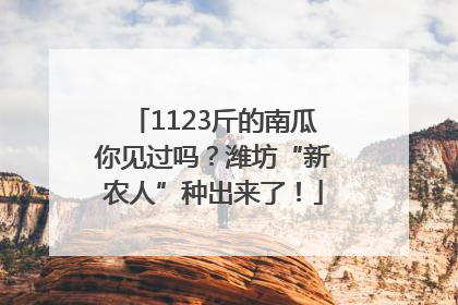 1123斤的南瓜你见过吗？潍坊“新农人”种出来了！