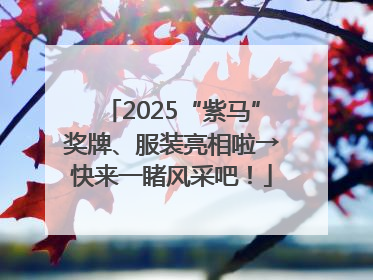 2025“紫马”奖牌、服装亮相啦→快来一睹风采吧！