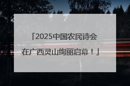 2025中国农民诗会在广西灵山绚丽启幕！