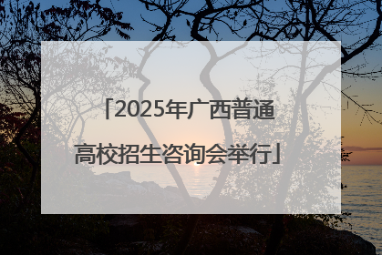2025年广西普通高校招生咨询会举行