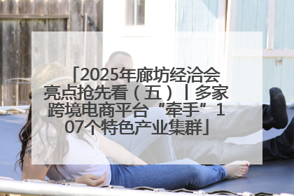 2025年廊坊经洽会亮点抢先看（五）丨多家跨境电商平台“牵手”107个特色产业集群