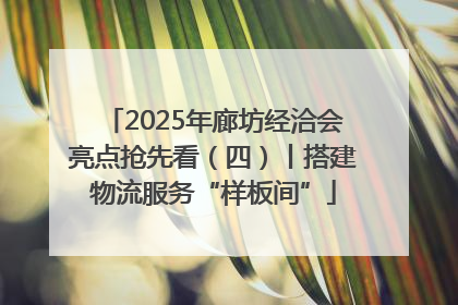 2025年廊坊经洽会亮点抢先看（四）丨搭建物流服务“样板间”