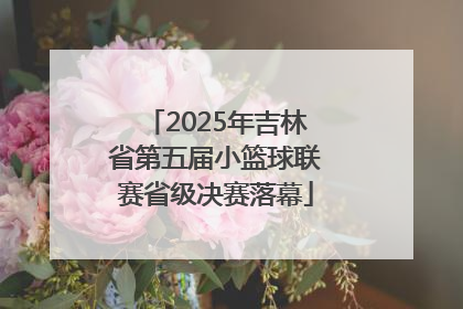 2025年吉林省第五届小篮球联赛省级决赛落幕
