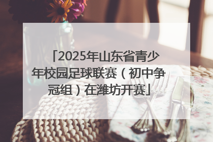 2025年山东省青少年校园足球联赛（初中争冠组）在潍坊开赛