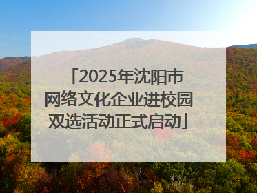 2025年沈阳市网络文化企业进校园双选活动正式启动