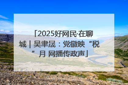 2025好网民·在聊城｜吴聿晟：党徽映“税”月 网播传政声