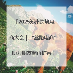 2025郑州跨境电商大会｜“丝路电商”助力朋友圈再扩容