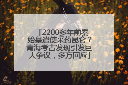2200多年前秦始皇遣使采药昆仑？青海考古发现引发巨大争议，多方回应