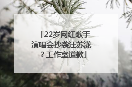 22岁网红歌手演唱会抄袭汪苏泷？工作室道歉